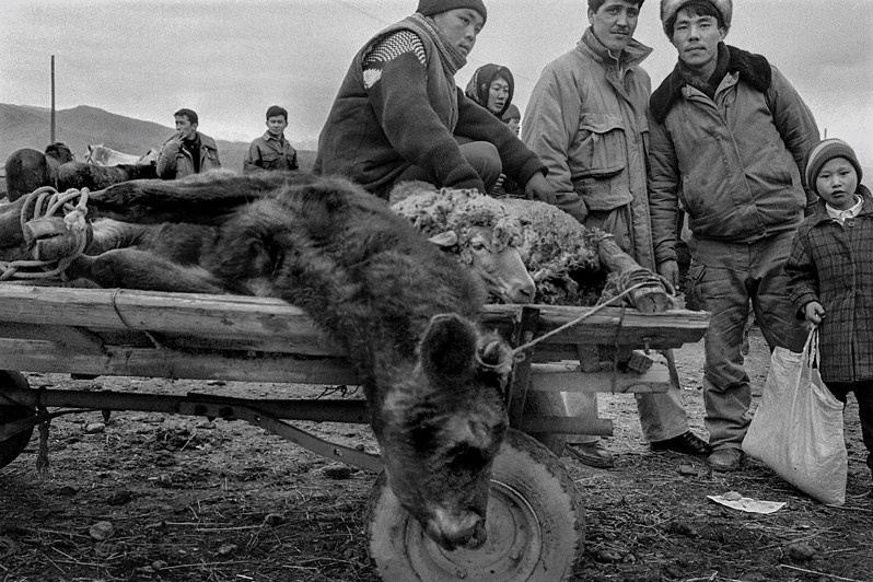 At the livestock market, Fergana valley, Uzbekistan. September 1992 © Oleg Klimov