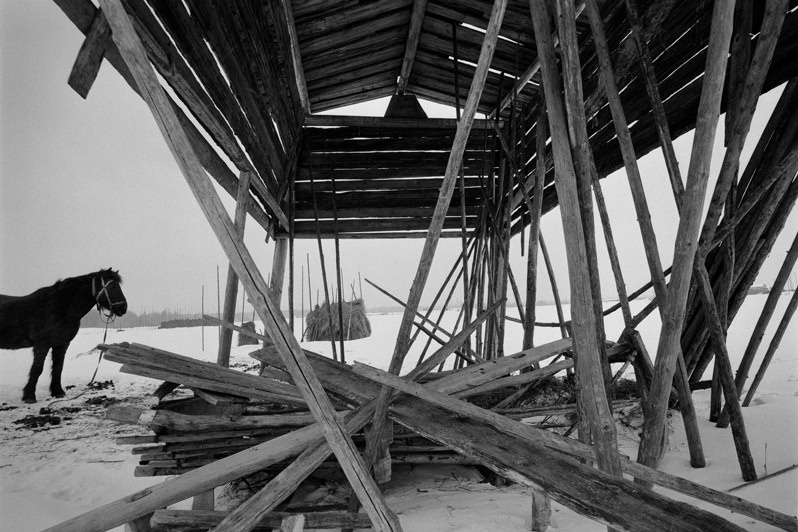 деревня Васильевская, Верхнетоемский район, Архангельская область, Россия. 2011