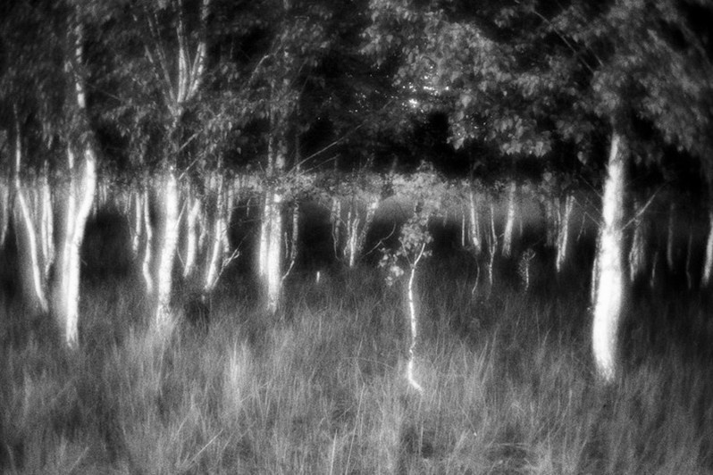 Курганская область, Россия. Июнь 2021