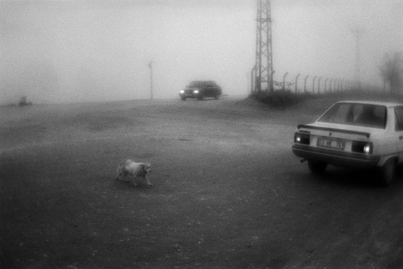 Outskirts of Edirne, Marmara region, Turkey. November 2009