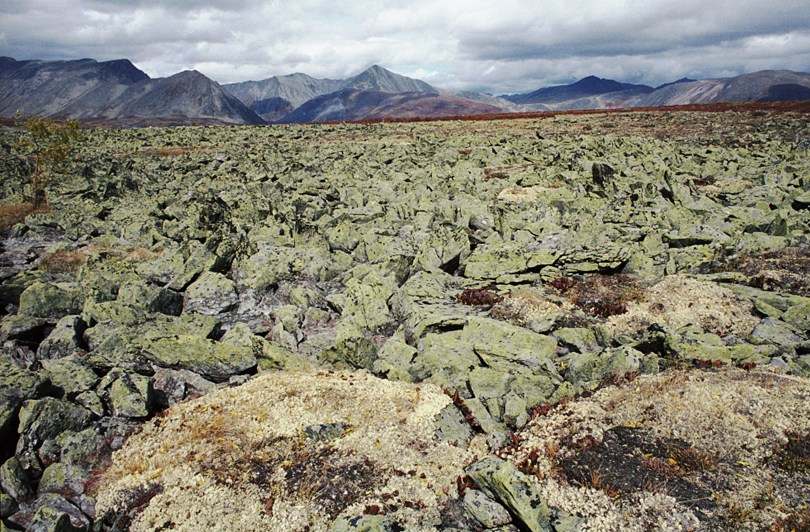View of the Ulaan Taiga mountain range, Khövsgöl province, Mongolia. September 2012