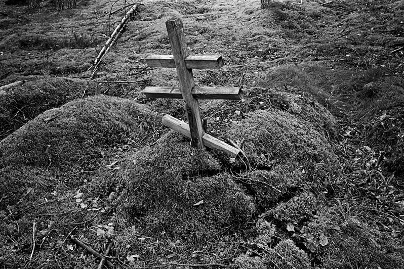 деревня Пелусозеро, Пудожский район, Карелия, Россия. 2013