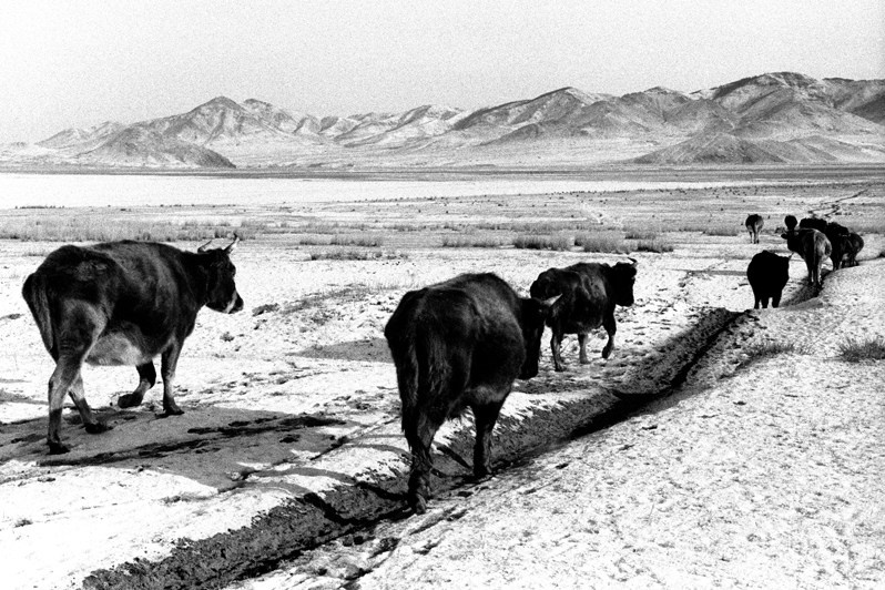По чёрным степным дорогам, близ станции Баруун Хараа, Баянгольский район, провинция Уверхангай, Монголия. Январь 2002