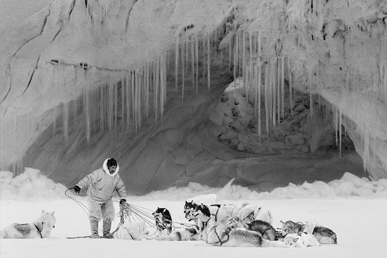 Hunter Mikide Kristiansen fixing his dogs on the ice in Thule, near Thule, Greenland, Kingdom of Denmark. 1999