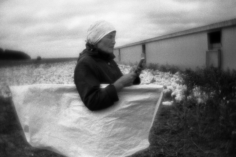 Утиная ферма, Республика Марий Эл, Россия. Июль 2018