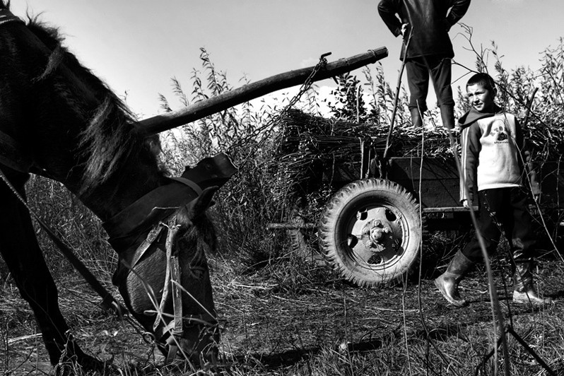 село Иза, Хустский район, Закарпатская область, Украина. 2007