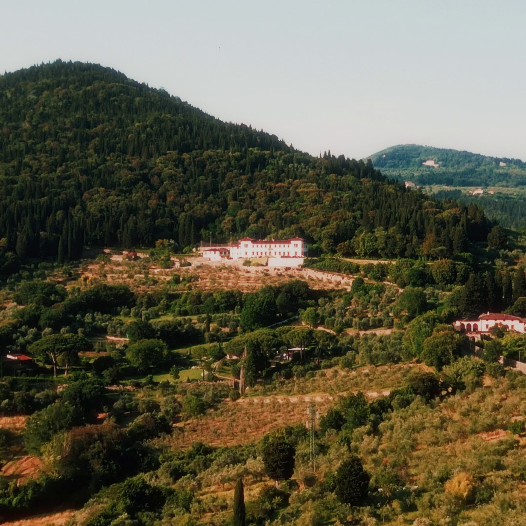 Sergei Checha — True Wedding Stories