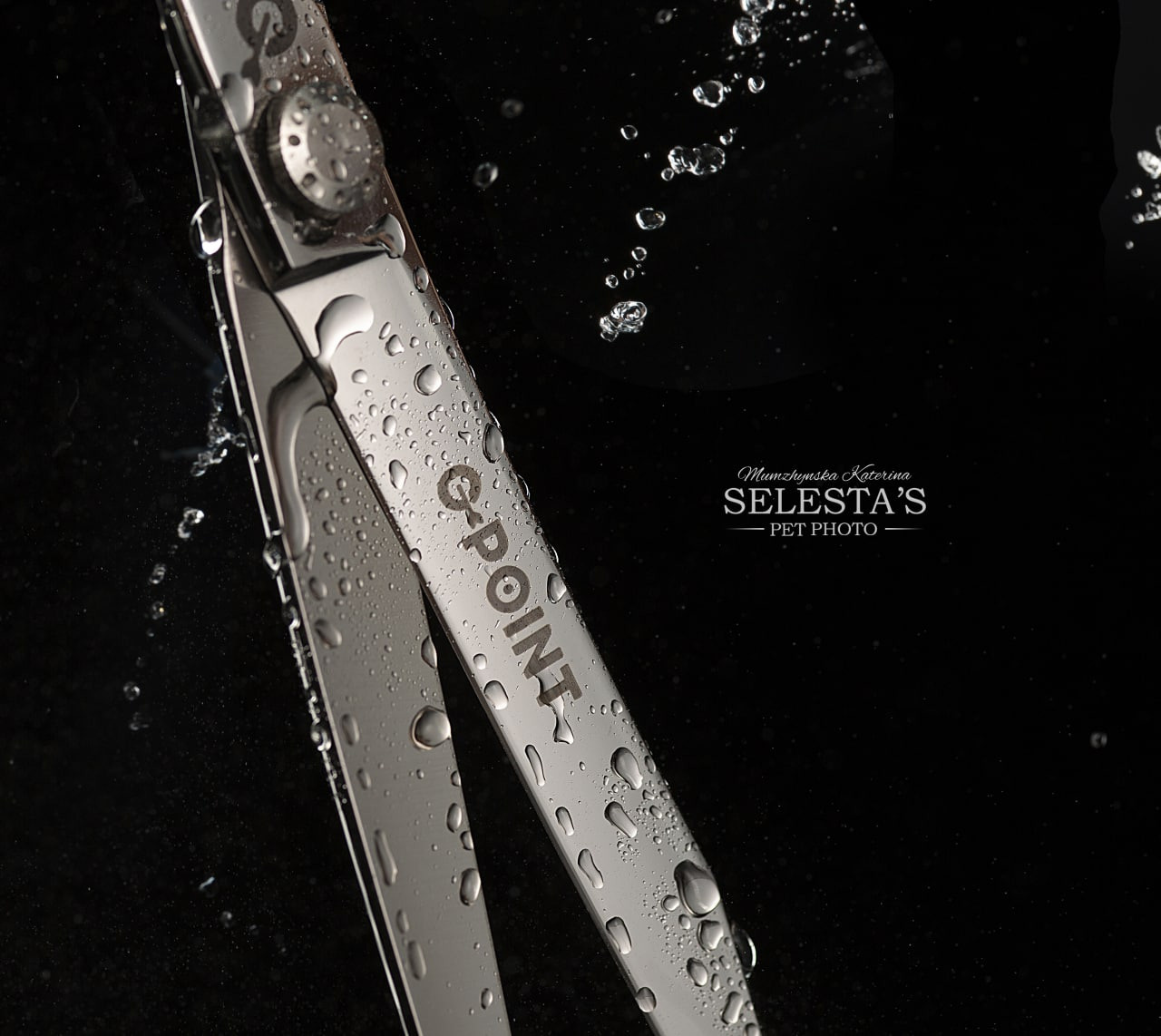 Products. Pet photographer Kateryna Mumzhynska