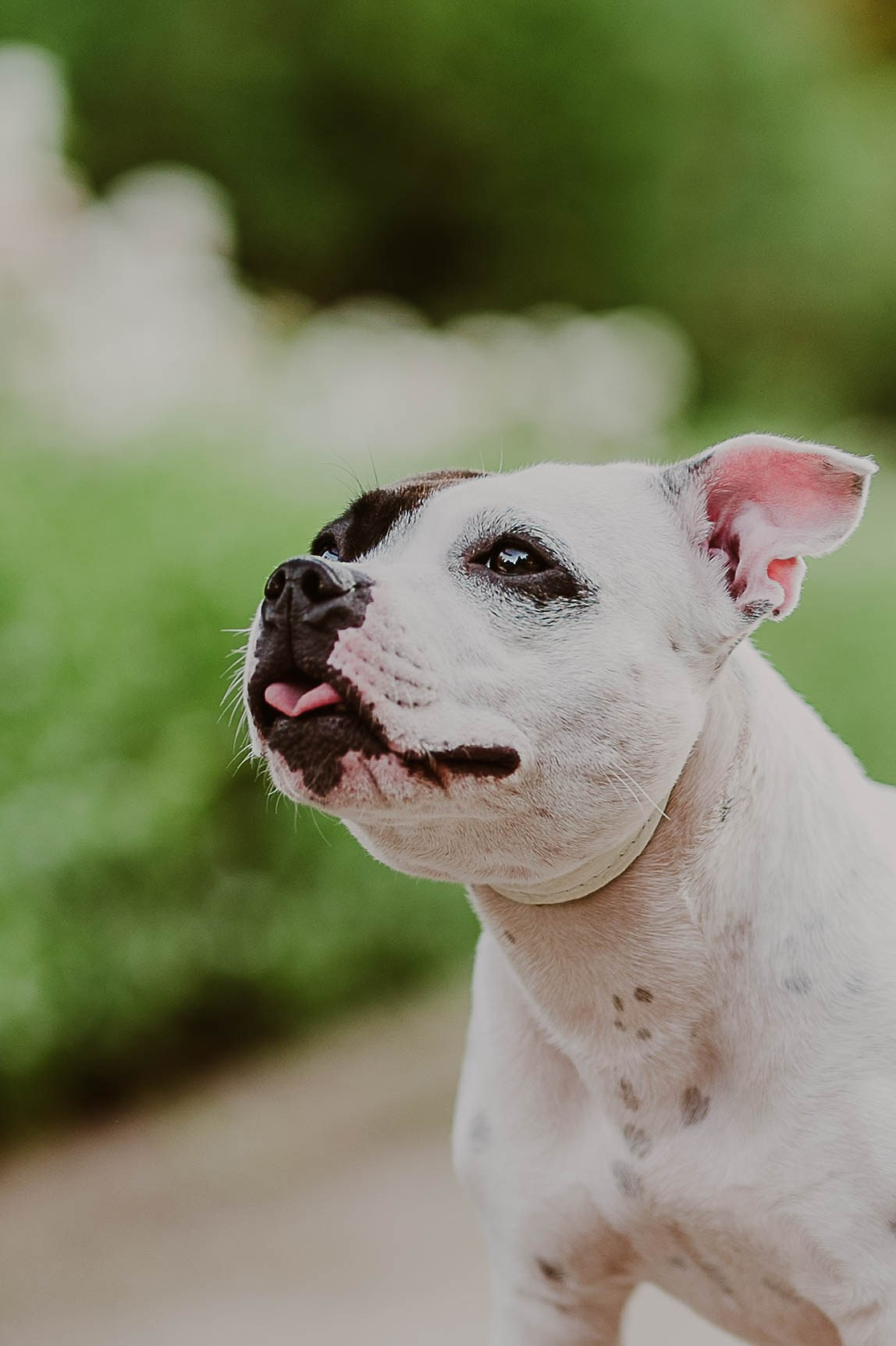Sesje Wizerunkowe & Eventy. Naturalnie pięknie - Klaudia Rowicka