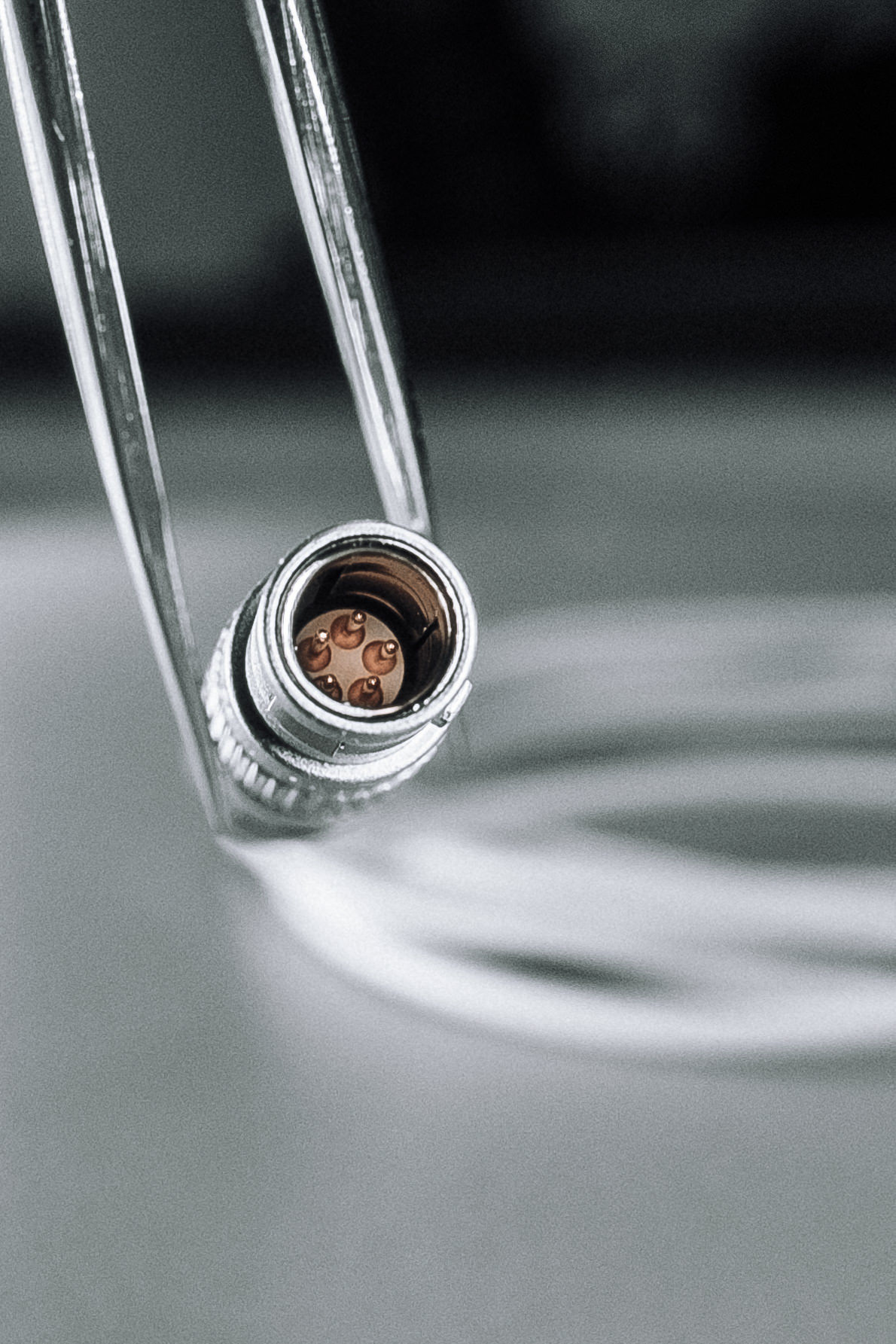 ЗАВОД. Ivan Skufinsky — wedding and family photographer in Vancouver