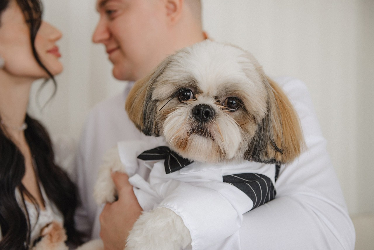 Відгуки. Semashko Photography — весільне та сімейне фото, Олег І Наталі Семашко