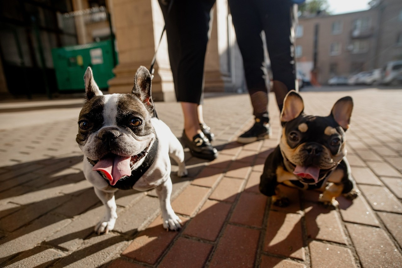 Відгуки. Semashko Photography — весільне та сімейне фото, Олег І Наталі Семашко