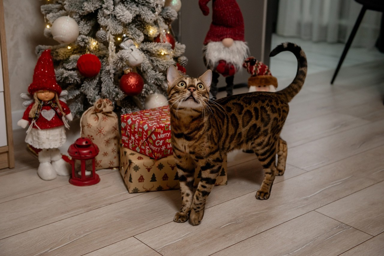 Відгуки. Semashko Photography — весільне та сімейне фото, Олег І Наталі Семашко