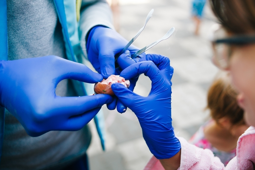 День рождения Егора. Кара Дмитрий, фотограф Аланья