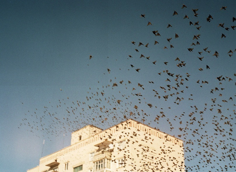 Нова Каховка. Peter Pushkin Photographer