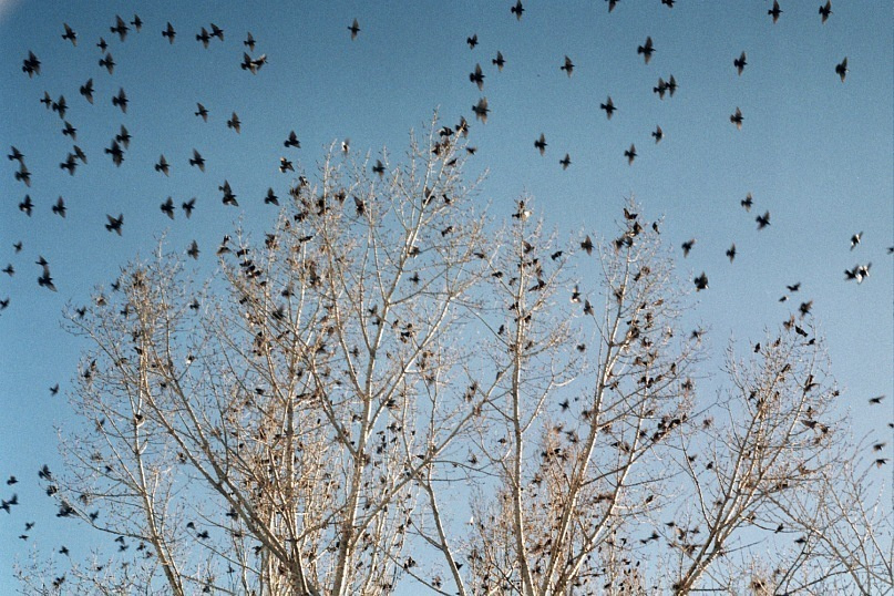 Нова Каховка. Peter Pushkin Photographer