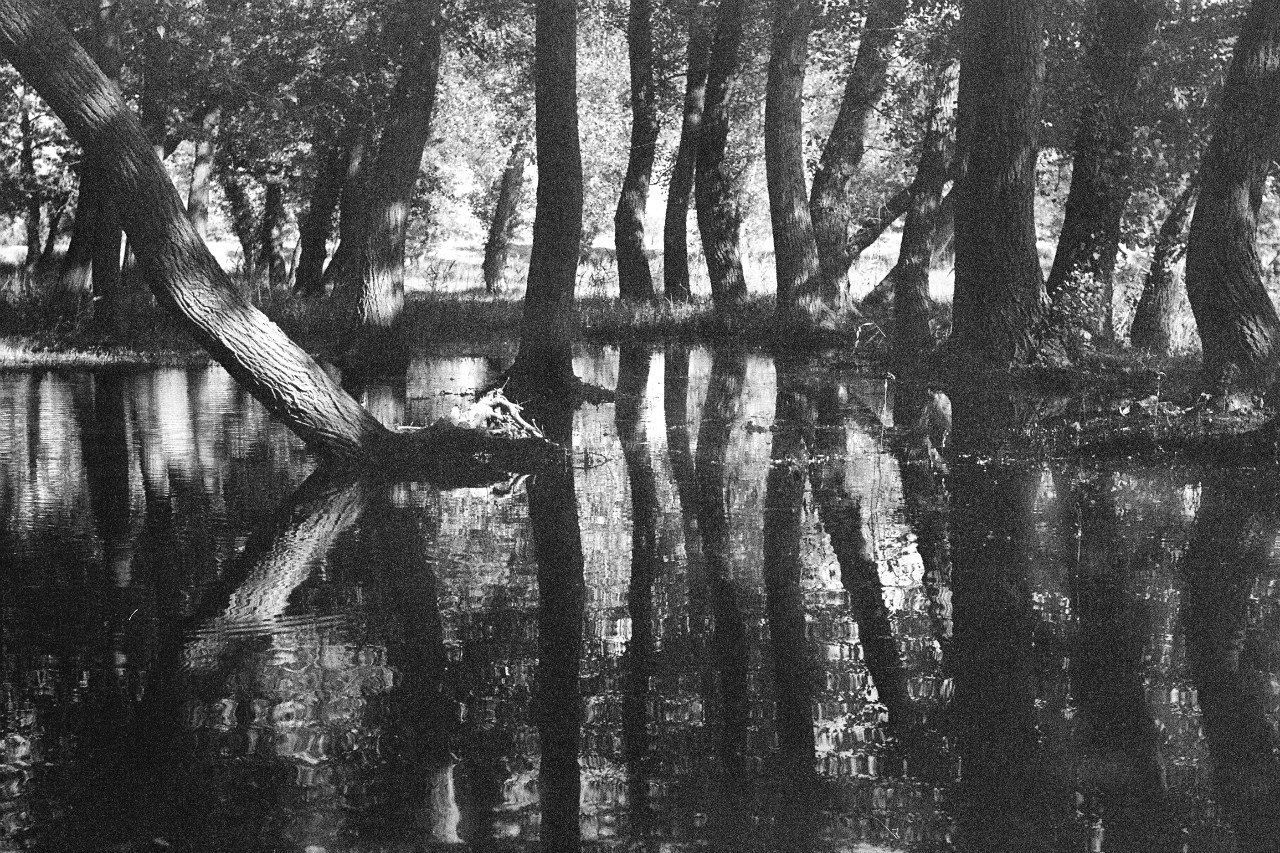 Нова Каховка. Peter Pushkin Photographer