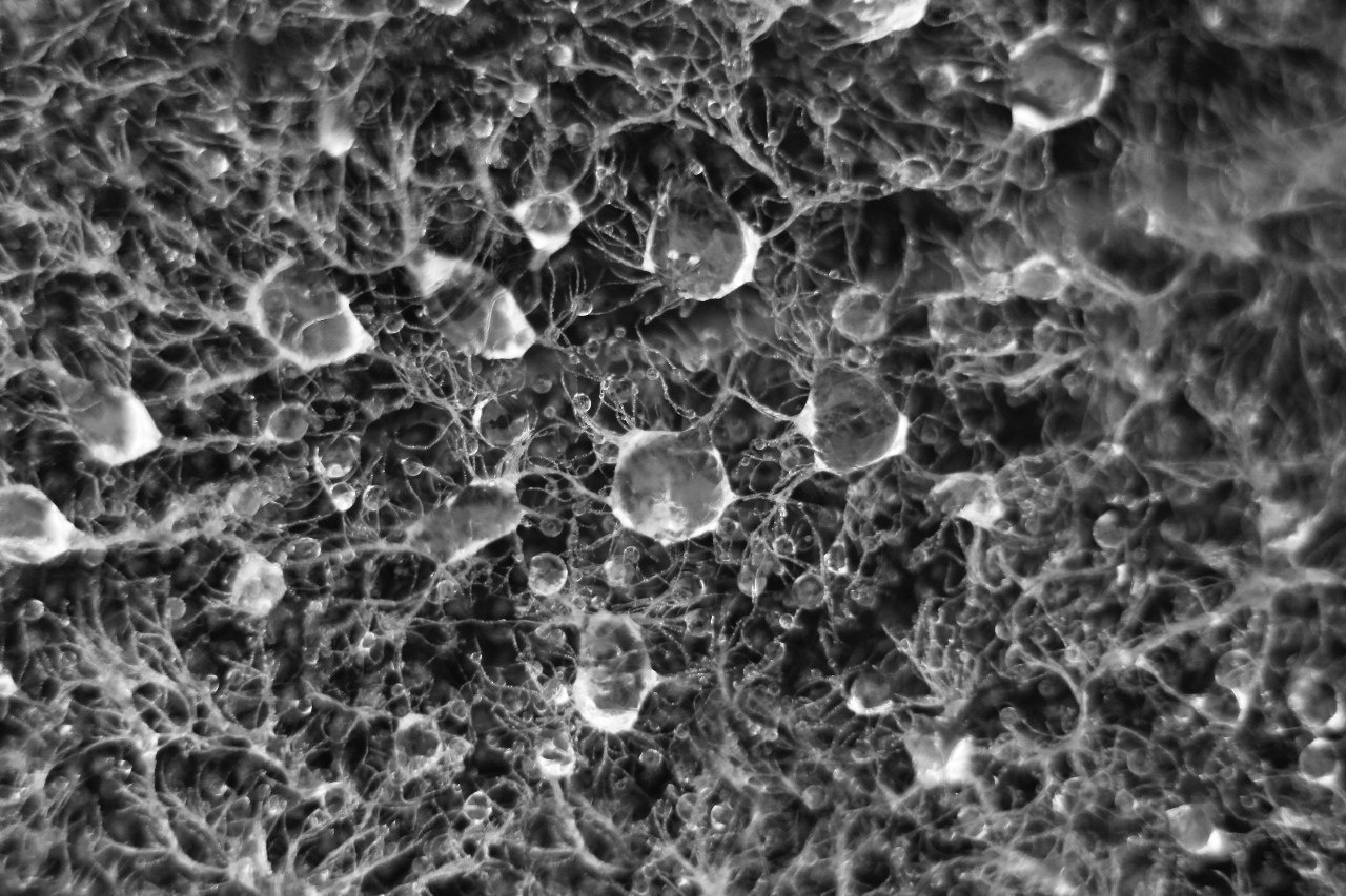 Нова Каховка. Peter Pushkin Photographer