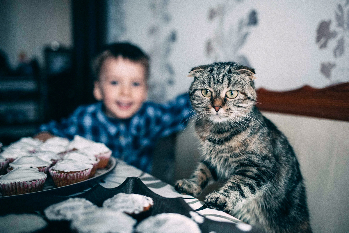 Family iт lilac. Peter Pushkin Photographer