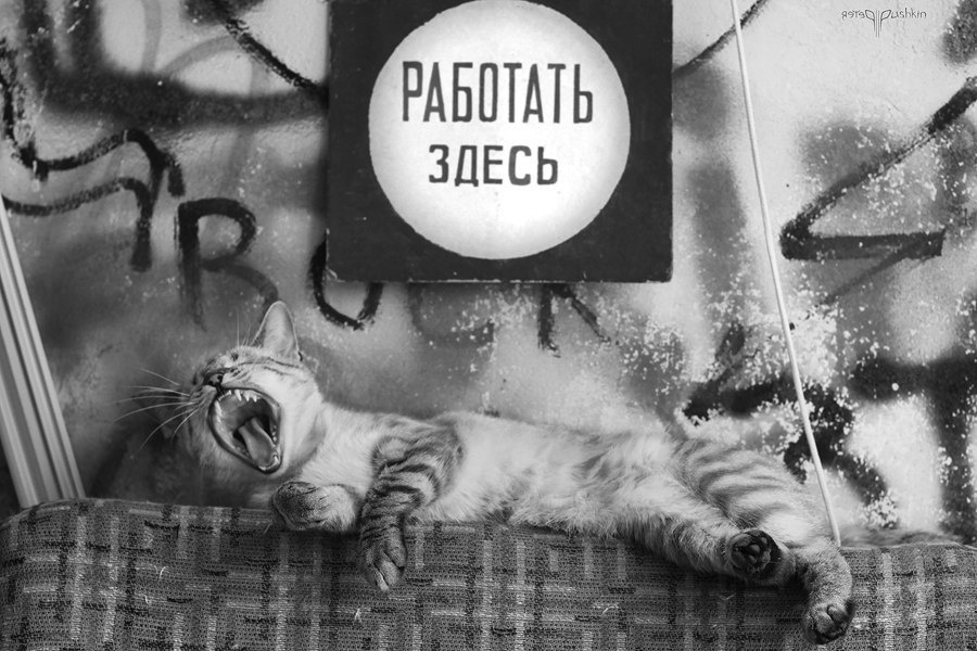 Нова Каховка. Peter Pushkin Photographer