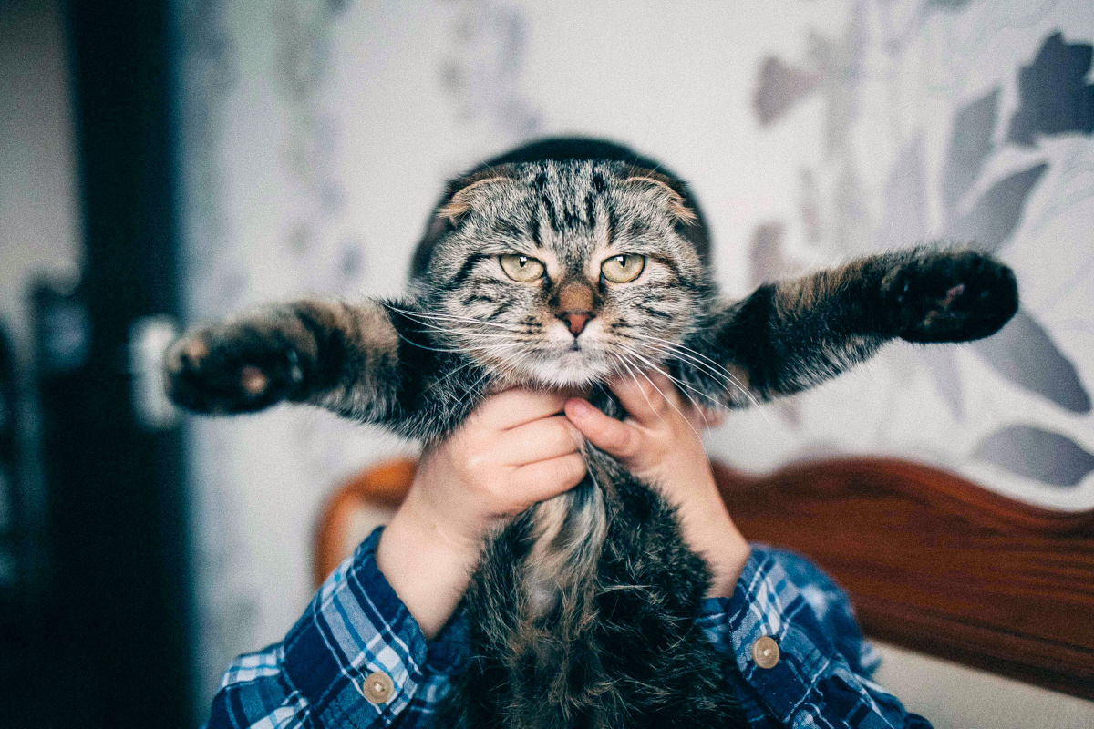 Family iт lilac. Peter Pushkin Photographer