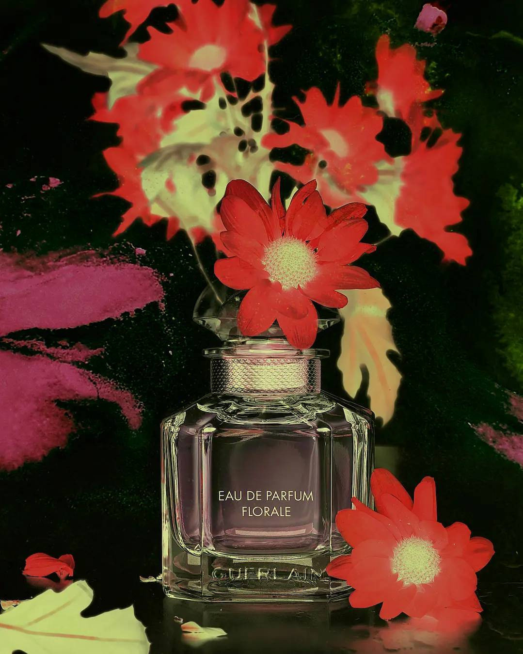 Peter Pushkin Photographer