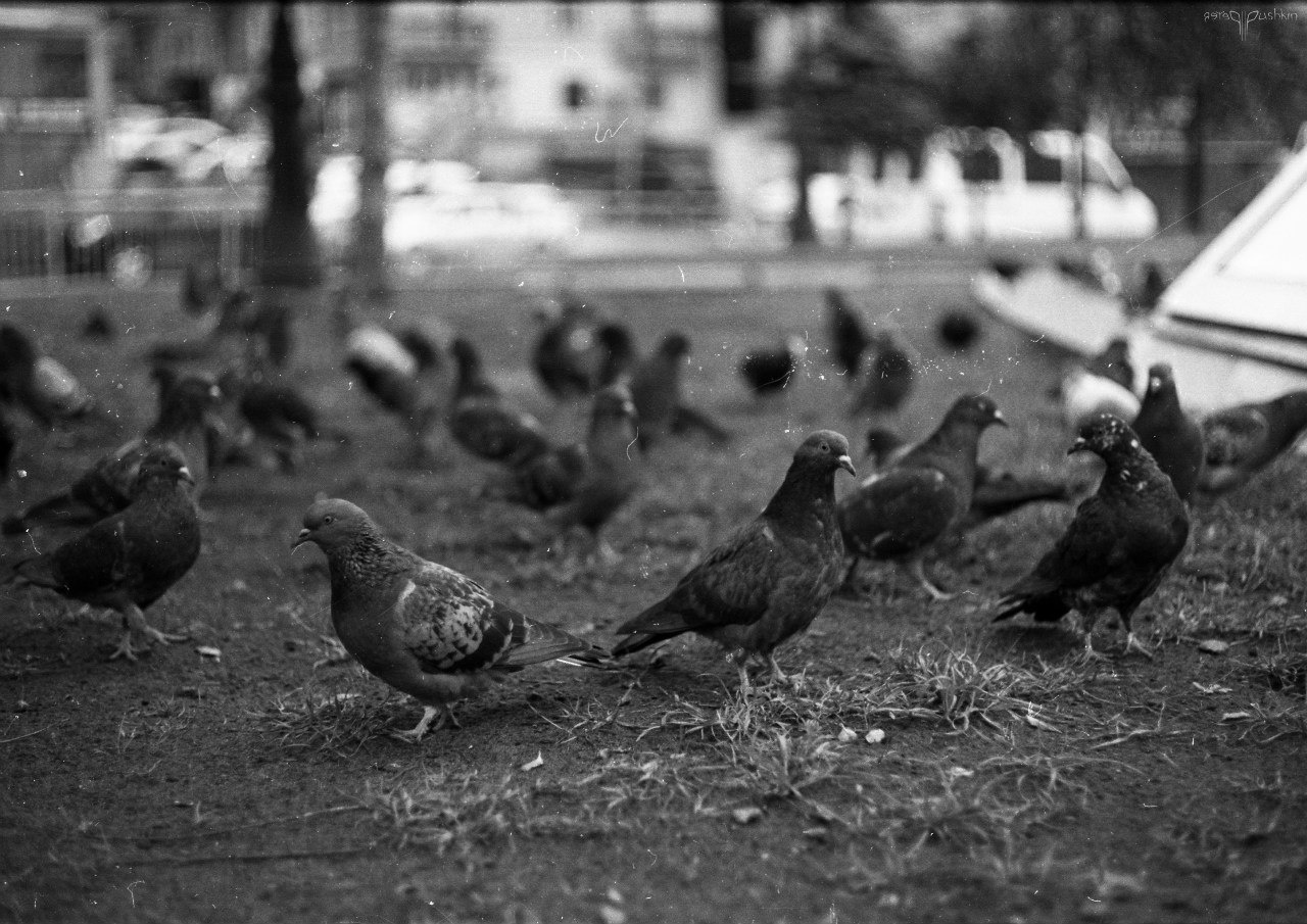 Київ. Peter Pushkin Photographer