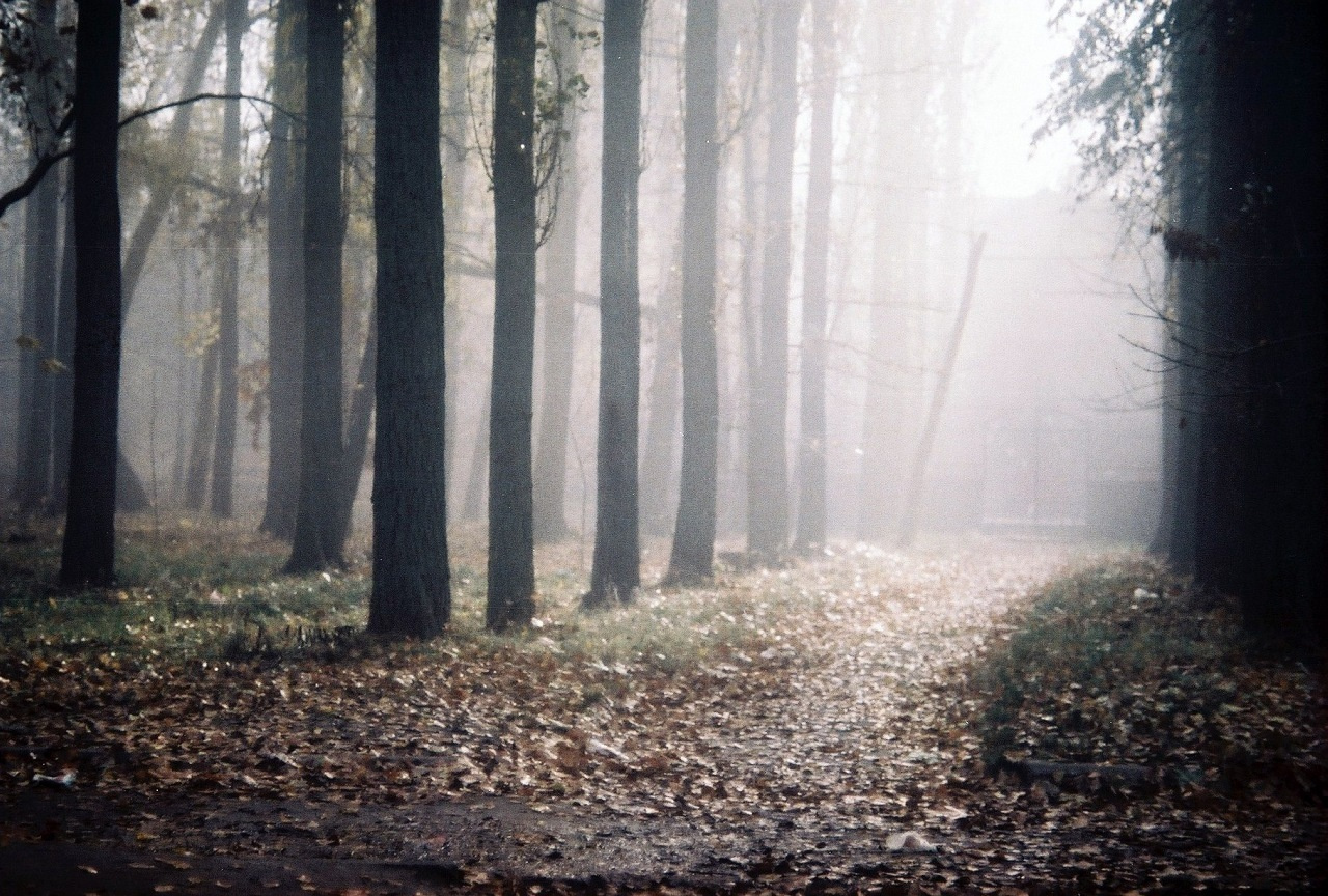 Нова Каховка. Peter Pushkin Photographer