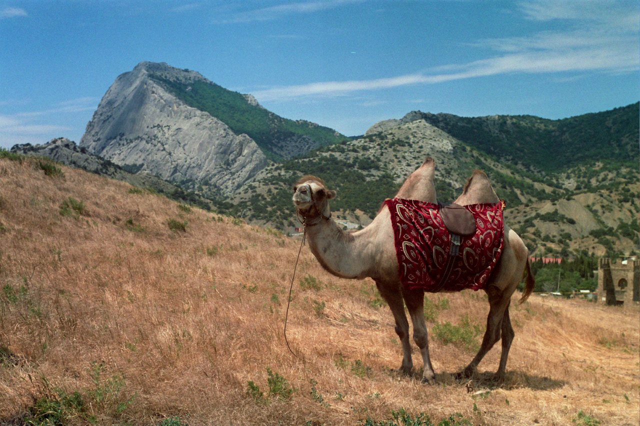 Крим. Peter Pushkin Photographer