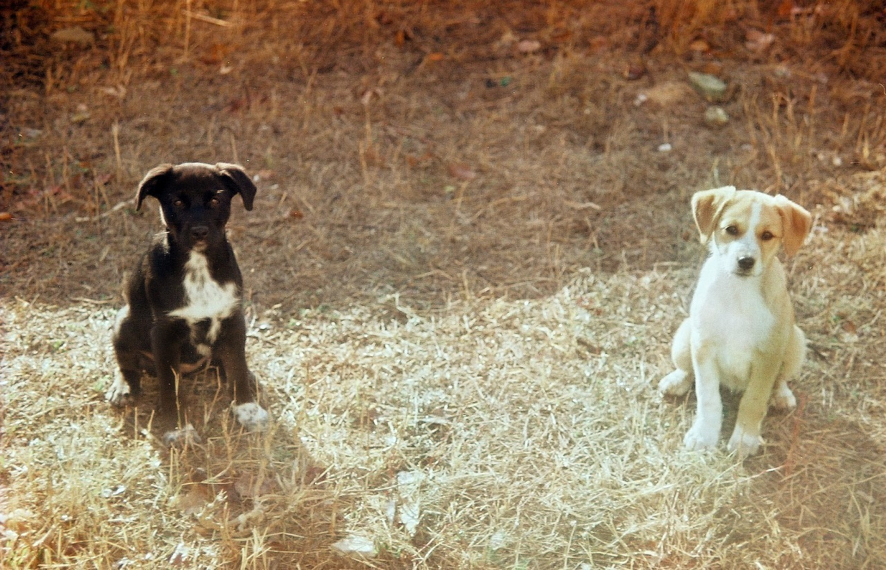 Нова Каховка. Peter Pushkin Photographer