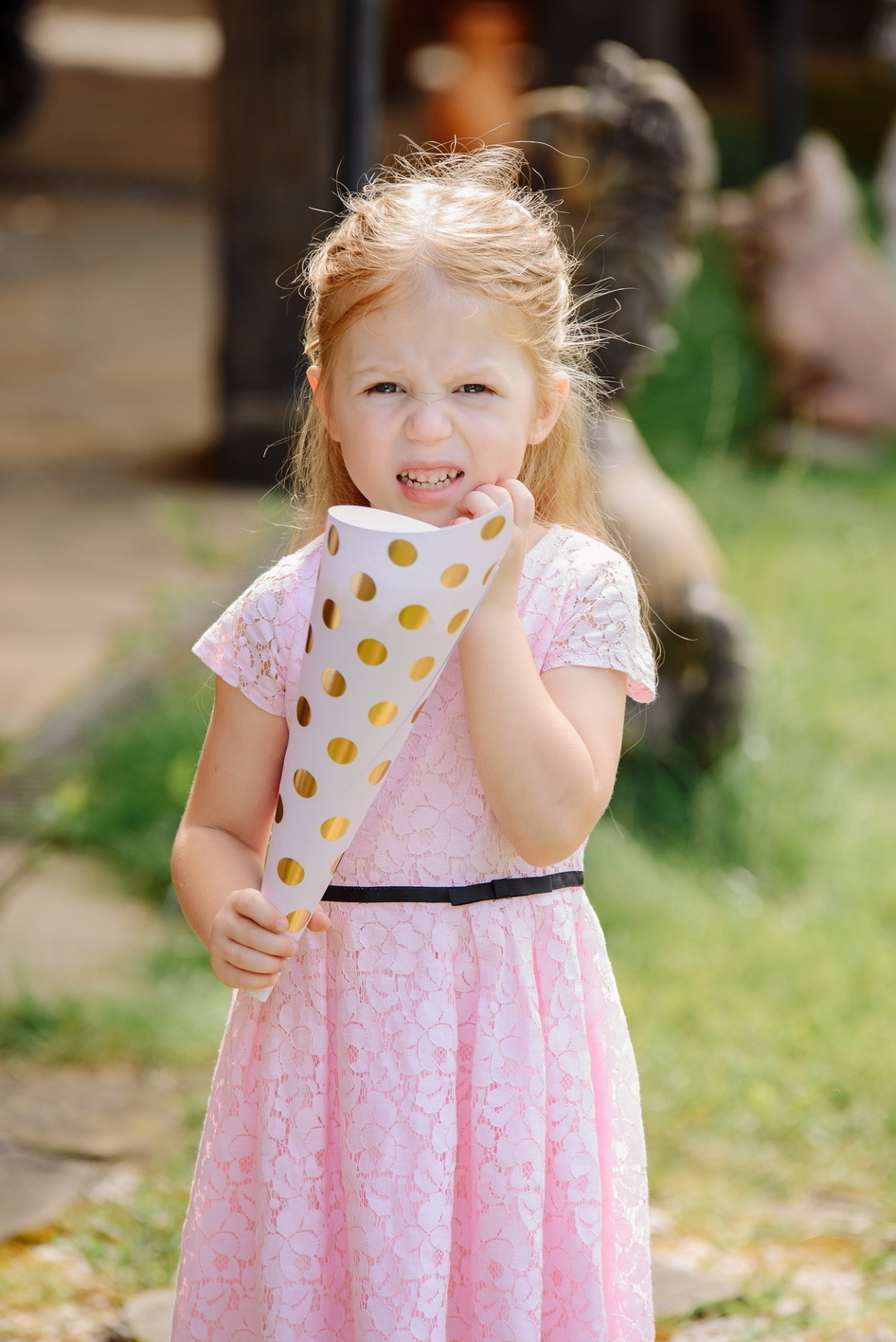 СВАДЬБА ЭТО ПРОСТО. Фостик Александр — фотограф