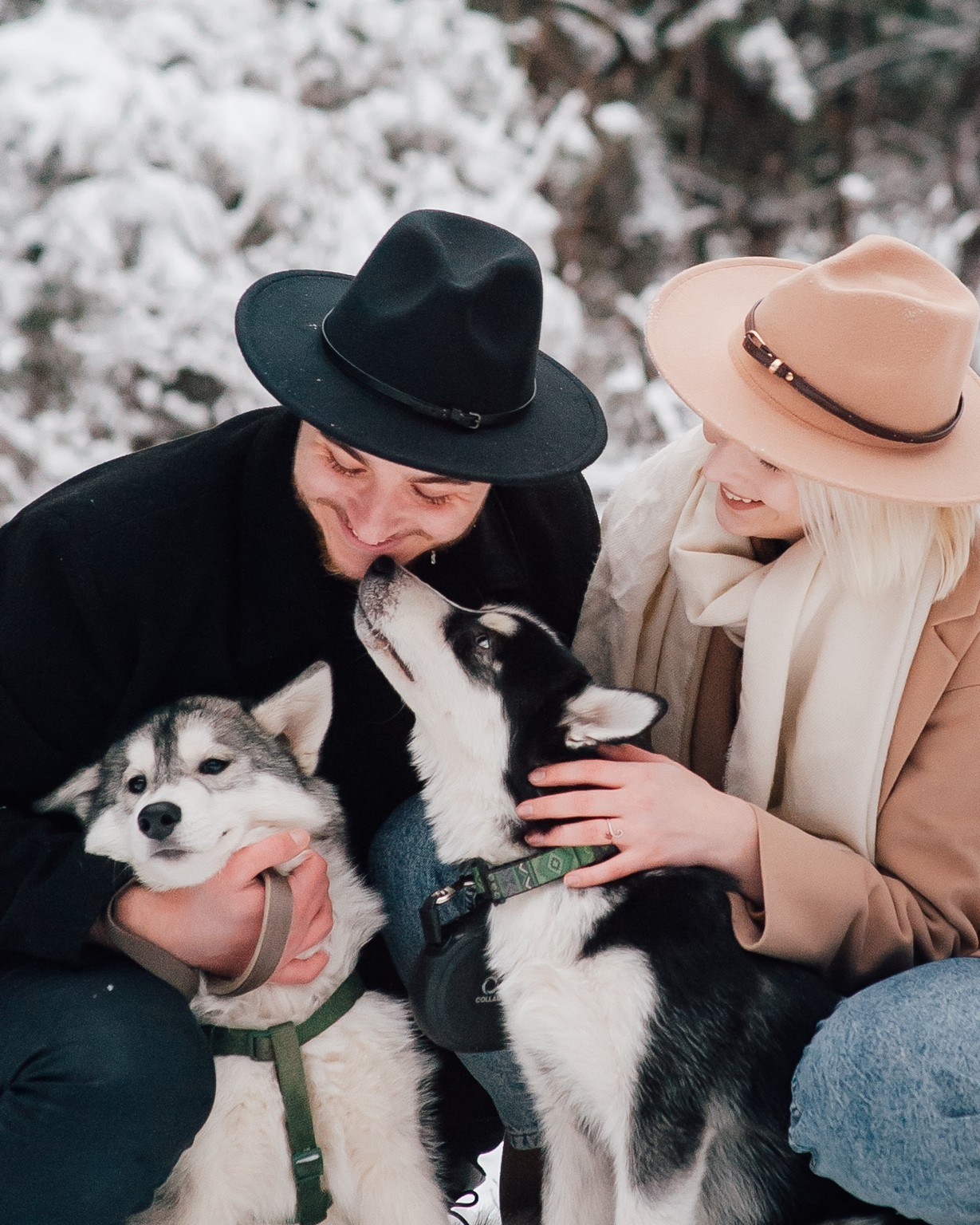 They loved dogs. Elegant Wedding Photography