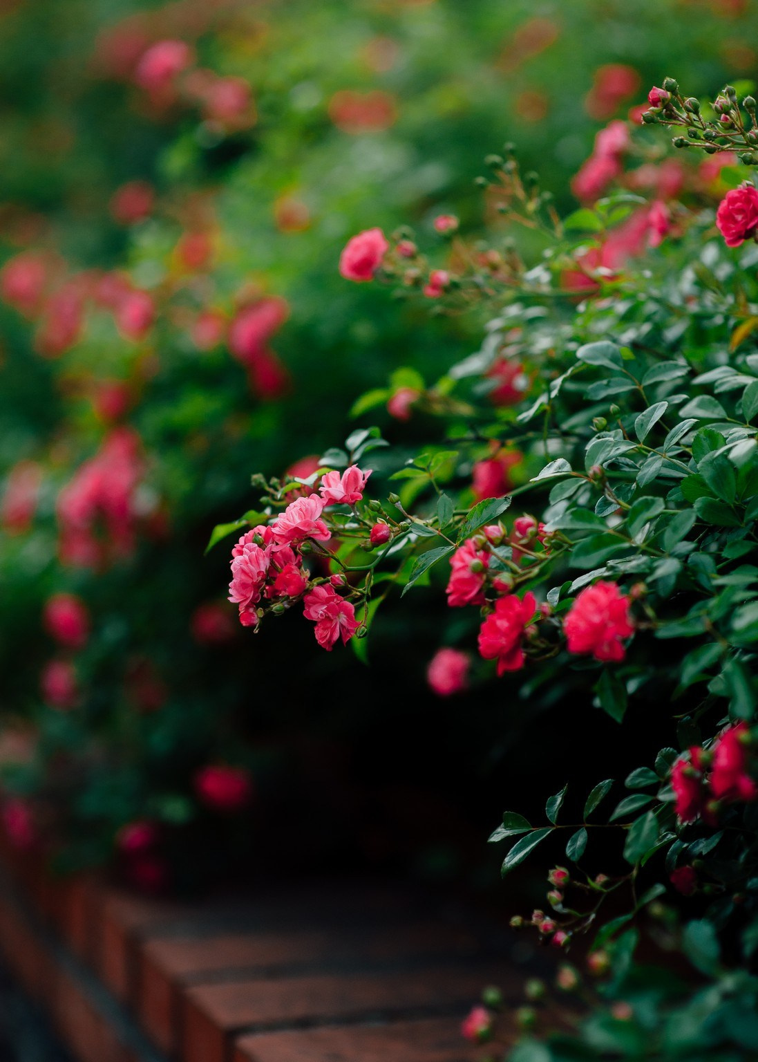 Begining…. Elegant Wedding Photography