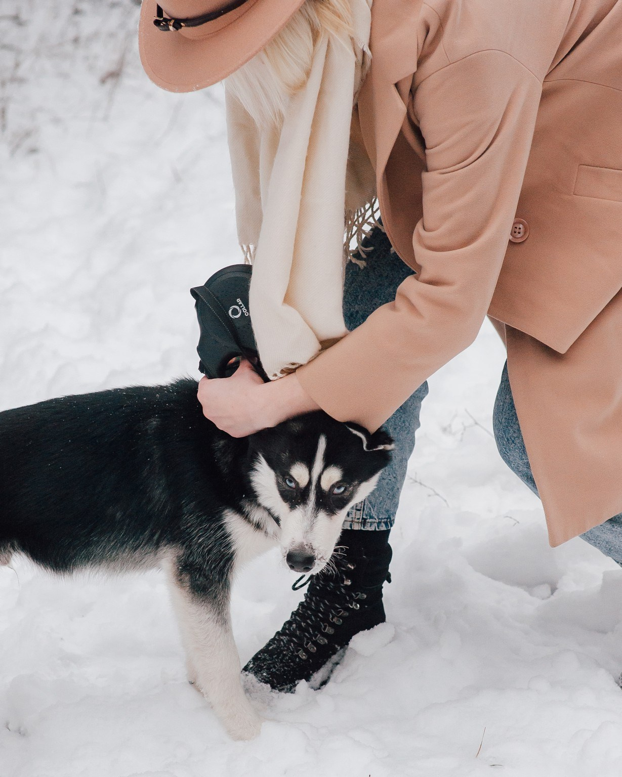 They loved dogs. Elegant Wedding Photography