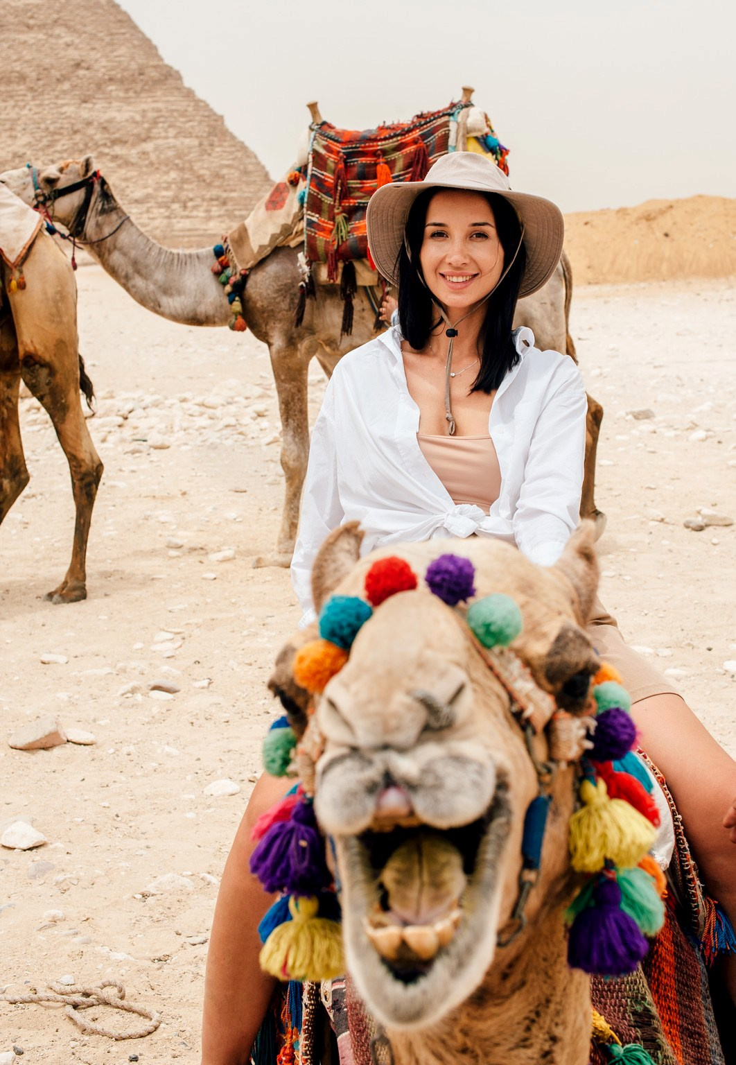 Egipt. Elegant Wedding Photography