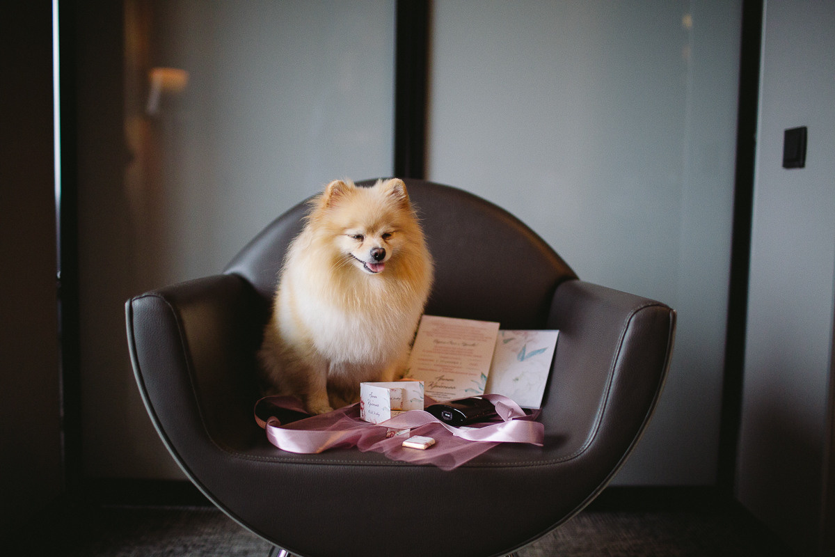 Антон и Кристина. Свадебный фотограф в Германии