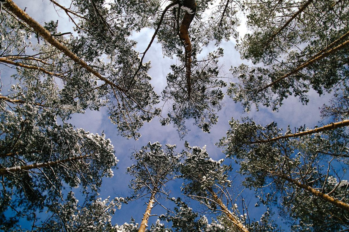 Андрей + Ира = Алина + Кирюша. Зима. Свадебный фотограф в Германии