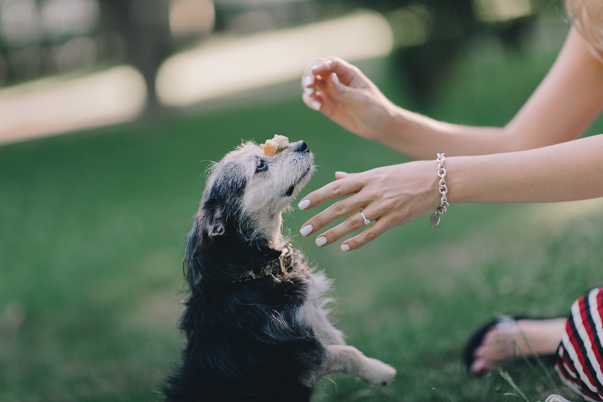 Таня + Виктор = Рафаэль ;). Свадебный фотограф в Германии