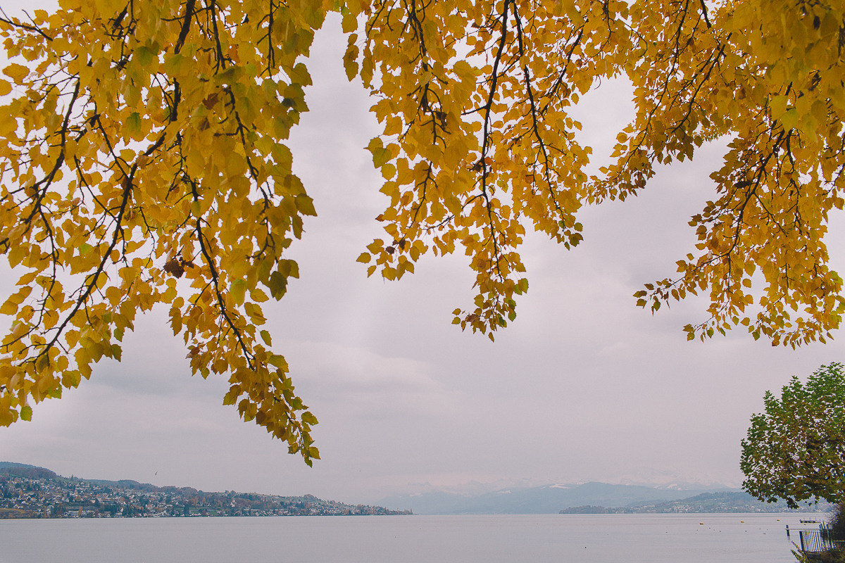 Вадим и Алёна. Свадебный фотограф в Германии