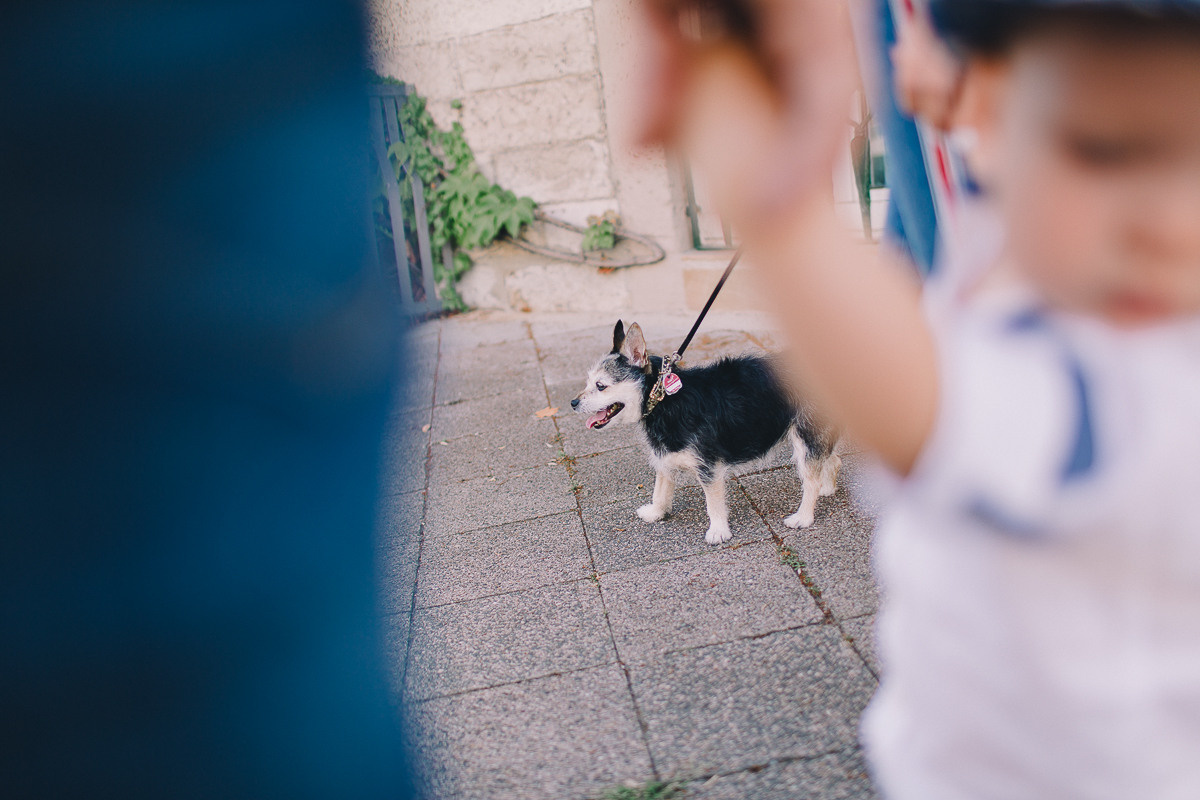 Таня + Виктор = Рафаэль ;). Свадебный фотограф в Германии