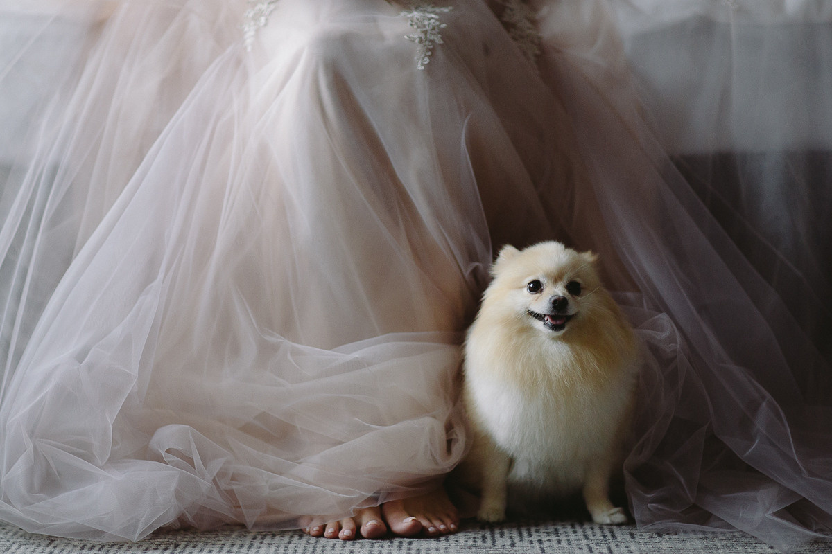 Антон и Кристина. Свадебный фотограф в Германии