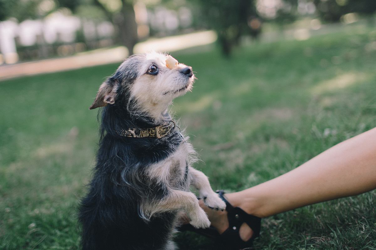 Таня + Виктор = Рафаэль ;). Свадебный фотограф в Германии