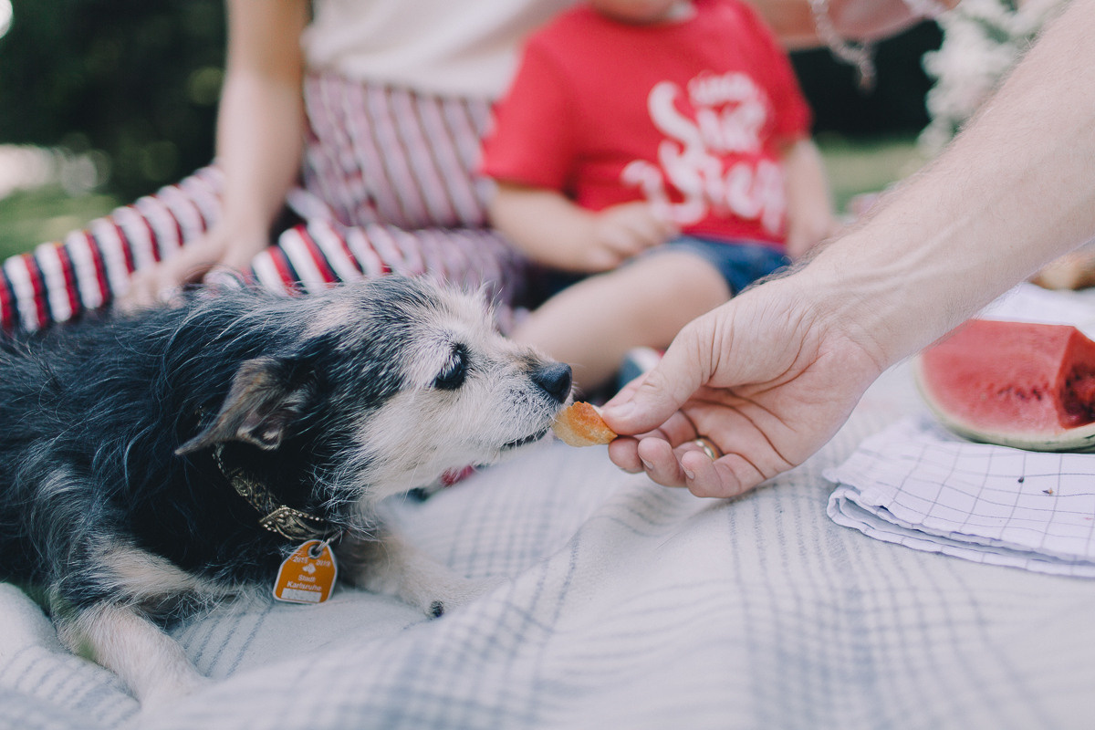 Таня + Виктор = Рафаэль ;). Свадебный фотограф в Германии