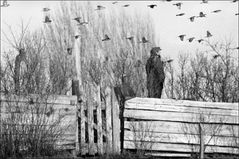 "Conversation by the mobile phone on the high place", farm of Senshin, village of Oblivskaya district, Rostov-on-Don region, Russia, January 2011