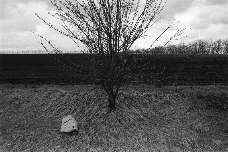 "Grass - sky, stone - tree, arable land - forest belt", Krivoborie natural boundary, Ramonskoye district, Voronezh region, Russia, May 2011