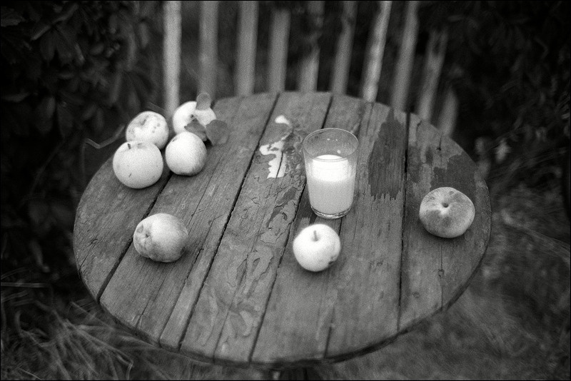 "Sunset still-life with the poured milk and seven fallen apples", farm of Senshin, village of Oblivskaya district, Rostov-on-Don region, Russia, July 2010