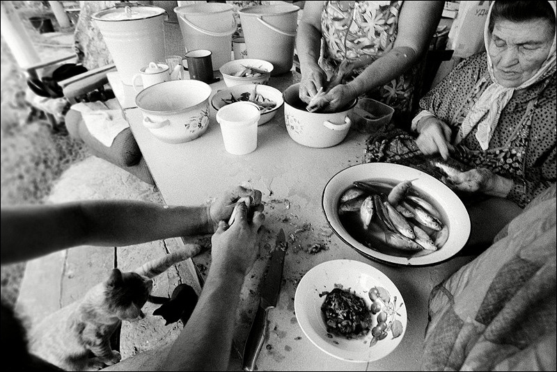 "Cleaning fish", farm of Senshin, village of Oblivskaya district, Rostov-on-Don region, Russia, July 2010