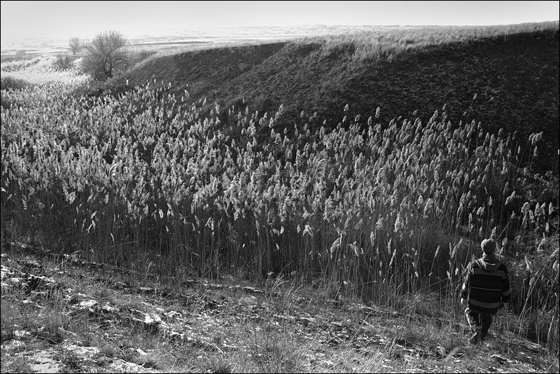 "Walk along the Yar River", near farm of Senshin, village of Oblivskaya district, Rostov-on-Don region, Russia, January 2011