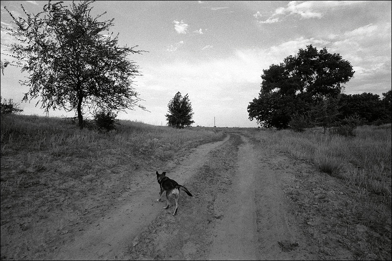 "Inspection property", farm of Senshin, village of Oblivskaya district, Rostov-on-Don region, Russia, July 2010