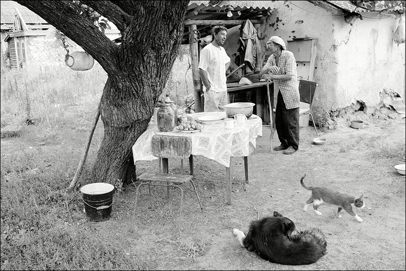"Chat in a courtyard", farm of Sekretiov, village of Oblivskaya district, Rostov-on-Don region, Russia, July 2010